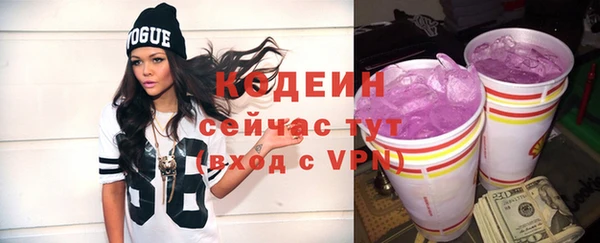 прущие крисы Новозыбков