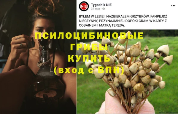 дистиллят марихуана Новодвинск