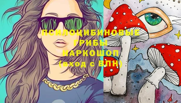 скорость Новокубанск