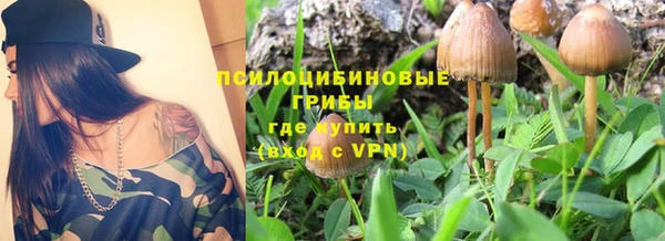 прущие крисы Новозыбков