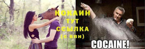спайс Нея