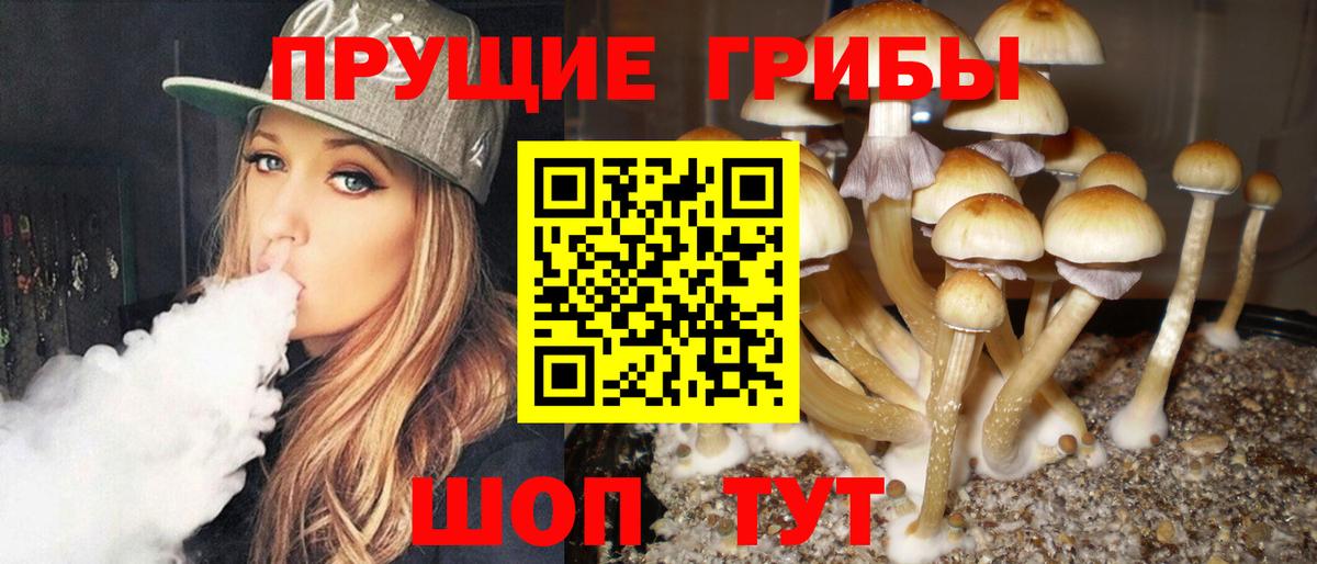 Лабытнанги  закладки  Вход с VPN  Псилоцибиновые грибы ЛСД 